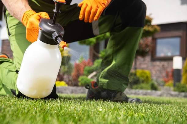 Best Lawn Pest Control  in Rohnert Park, CA